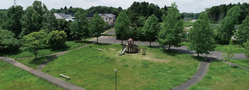 四季の森公園