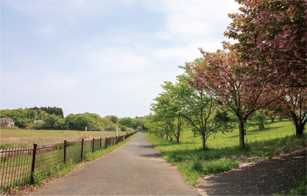 四季の森公園 ジョギングコース