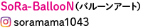 SoRa-BallooN(バルーンアート)